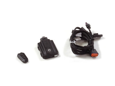 Ragazzon Extra set met afstandsbediening voor klep VW Golf Mk8 (typ CD) - R 2.0TSI 4motion (235kW) 12/2020-