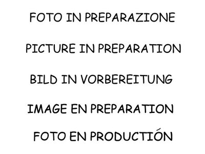 Ragazzon Einddemper Mini F56 2014-2024 - Cooper S 2.0 (141kW) 2014-07/2018