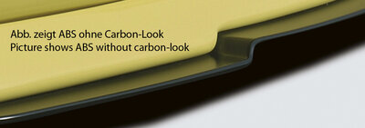 Rieger Tuning splitter Audi TT [8N]