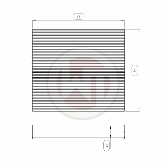 Wagner Tuning Radiator core 645x395x52