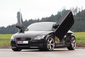 LSD Doors Lambo Style voor Audi TT [8J]