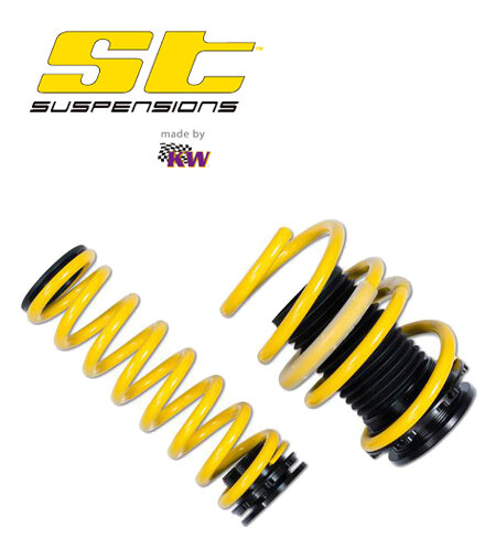 ST HAS Schroefveren Audi RS6 Avant Quattro met DRC