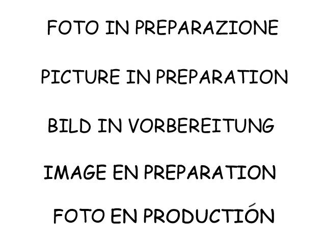 Ragazzon Einddemper Mini F56 2014-2024 - Cooper S 2.0 (141kW) 2014-07/2018