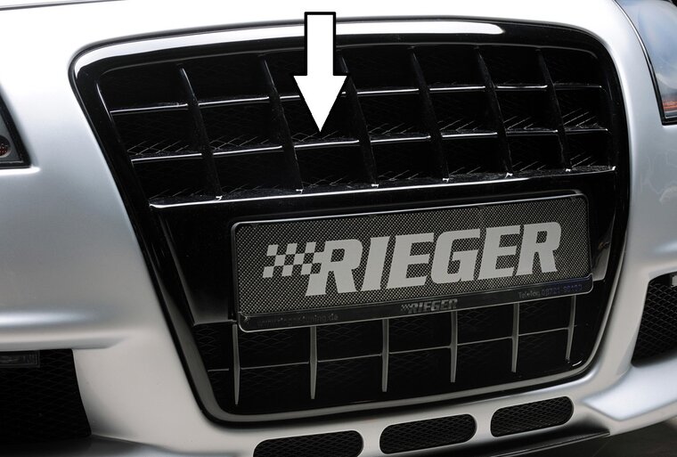 Rieger Tuning grill Audi A3 [8P]