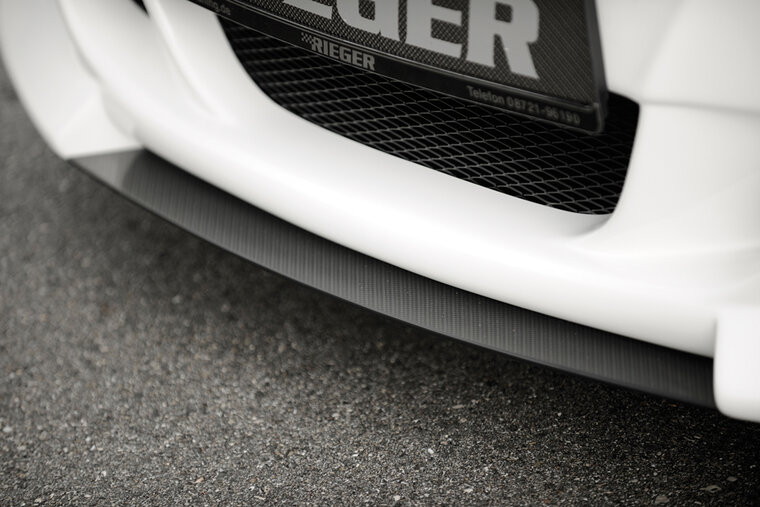 Rieger Tuning splitter BMW Z4 E85