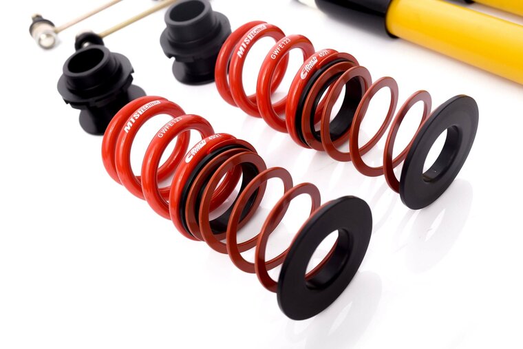 MTS Technik Schroefset Street Gold BMW 3 (E46)