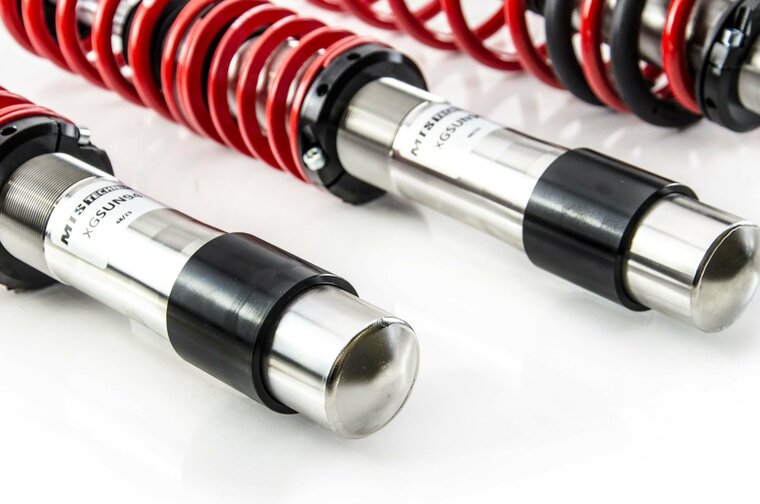 MTS Technik Schroefset Stance Inox BMW 5 (E39)