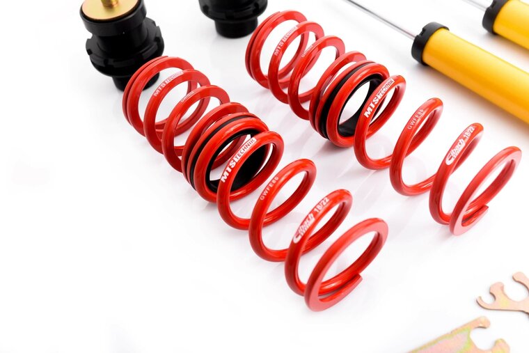 MTS Technik Schroefset Stance Gold Skoda Rapid (Nh)