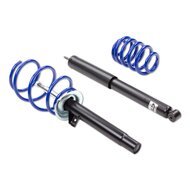 AP Sport Suspension BMW 3-serie coup&eacute; (E36) 1990- 318tds