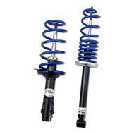 AP Sport Suspension BMW 3-serie touring (E30) 1988- &Oslash;51mm veerpoot 316i, 318i