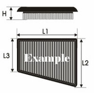 GREEN Vervangingsfilter Renault Kangoo 1997-2007 7/2006-12/2007 1.6 16V Bibalent (CNG) 60kw
