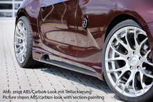 Rieger Tuning sideskirt Links BMW Z4 E85