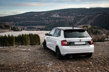 Fox Sportuitlaat Skoda Fabia NJ R5 Edition achterdemper - 1x100 Type 25