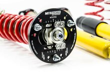 MTS Technik Schroefset Street Gold BMW 3 (E36)