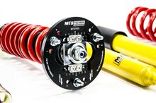 MTS Technik Schroefset Stance Gold BMW 3 (E90)