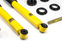 MTS Technik Schroefset Stance Gold BMW 3 Cabrio (E36)
