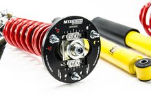 MTS Technik Schroefset Street Inox BMW 3 Compact (E36)