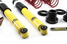 MTS Technik Schroefset Street Gold BMW 3 Coupe (E36)