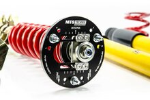 MTS Technik Schroefset Stance Gold BMW 3 Coupe (E36)