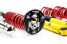 MTS Technik Schroefset Stance Inox BMW 3 Coupe (E46)
