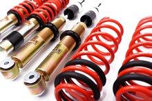 MTS Technik Schroefset Stance Gold BMW 5 (E39)
