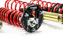MTS Technik Schroefset Stance Gold BMW 5 (E39)