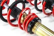 MTS Technik Schroefset Stance Gold Audi A3 (8P)