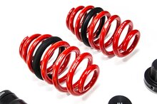 MTS Technik Schroefset Street Inox Audi A4 B9 (8W)