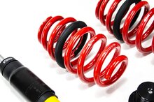 MTS Technik Schroefset Street Inox Audi A5 (F5)