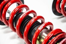 MTS Technik Schroefset Street Gold Subaru Brz (Zc)