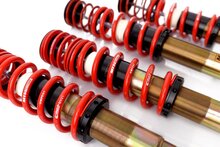 MTS Technik Schroefset Street Gold Honda Civic Vi Coupe (Ej/Em)