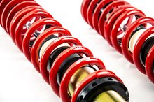 MTS Technik Schroefset Stance Gold Audi Coupe B2 (81/85)
