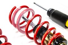 MTS Technik Schroefset Street Gold Ford Focus 4 (Hn)