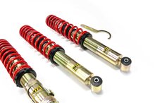 MTS Technik Schroefset Comfort Gold Volkswagen Golf 3 (1H1)