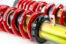 MTS Technik Schroefset Stance Gold Lexus Is I (E1)
