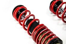 MTS Technik Schroefset Street Gold Ford Ka (Ru8)
