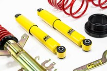MTS Technik Schroefset Street Gold Ford Ka (Ru8)