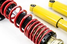 MTS Technik Schroefset Street Gold Volkswagen Passat B1 (32)