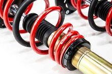 MTS Technik Schroefset Stance Gold Volkswagen Scirocco Iii (137/138)