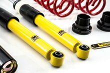 MTS Technik Schroefset Street Gold Audi Tt (8J)