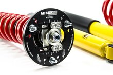 MTS Technik Schroefset Street Gold BMW Z3 Coupe (E36)