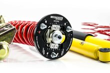 MTS Technik Schroefset Stance Gold BMW Z3 Coupe (E36)