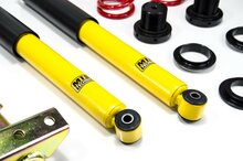 MTS Technik Schroefset Stance Gold BMW Z3 Coupe (E36)