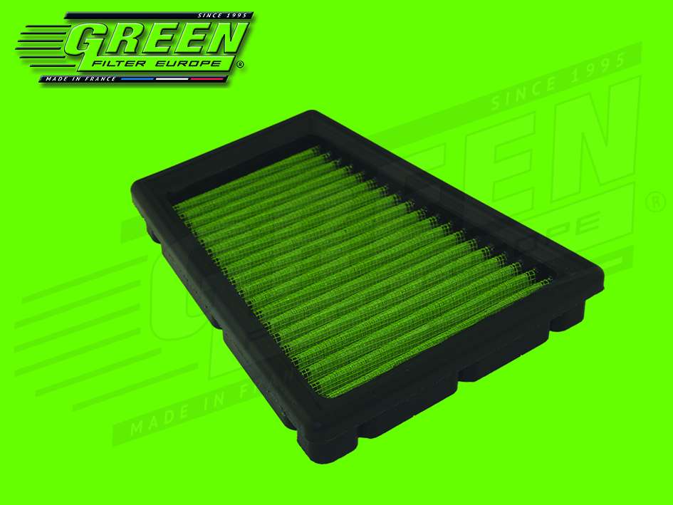 GREEN Vervangingsfilter Renault Kangoo 1997-2007 7/2006-12/2007 1.6 16V Bibalent (CNG) 60kw