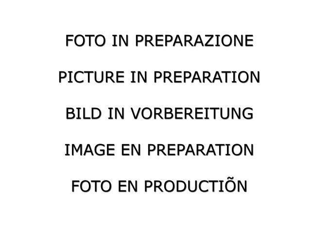 Ragazzon Einddemper Mini F56 2014-2024 - JCW 2.0 (170kW) 2014-07/2018